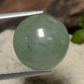 Jadeíta Medium Light Green natural de 6.92 ct, Corte Redondo, Translúcido