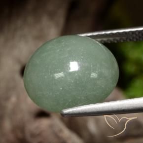 Jadeíta Verde medio natural de 8.13 ct, Redondo, Translúcido
