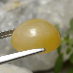 Jadeíta Dorado amarillo natural de 7.08 ct, Corte Óvalo, Translúcido