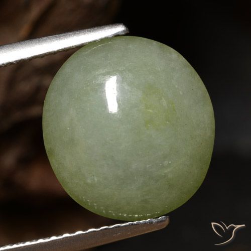 5.65ct Natural Verde cálido Jadeíta, Ovalada, Translúcido