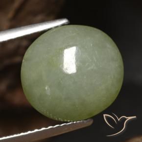 Jadeíta Verde cálido natural de 5.65 ct, Ovalada, Translúcido