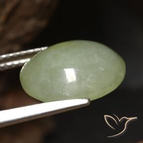 Jadeíta Verde cálido natural de 5.65 ct, Ovalada, Translúcido