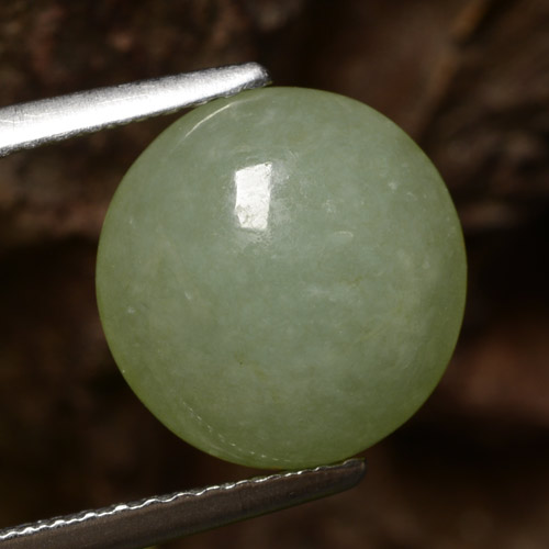 Jadeíta verde natural de 4,64 ct, corte redondo, translúcido