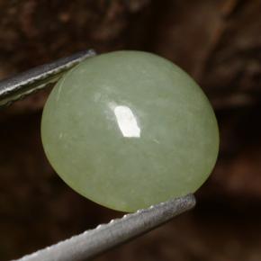 Jadeíta verde natural de 4,64 ct, corte redondo, translúcido