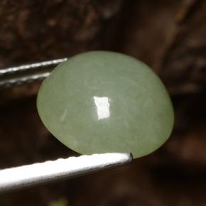 Jadeíta verde natural de 4,64 ct, corte redondo, translúcido