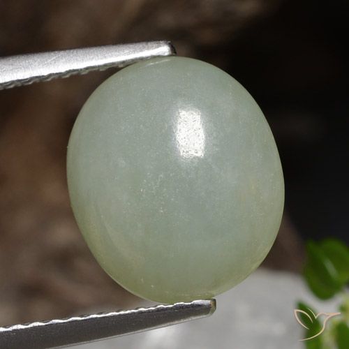 4.89ct Natural Verde claro Jadeíta, Ovalada, Translúcido