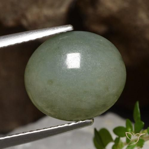Jadeíta Verde medio natural de 5.81 ct, Ovalada, Translúcido