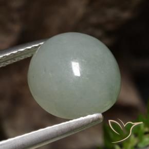 Jadeíta Verde bosque pálido natural de 6.51 ct, Redondo, Translúcido