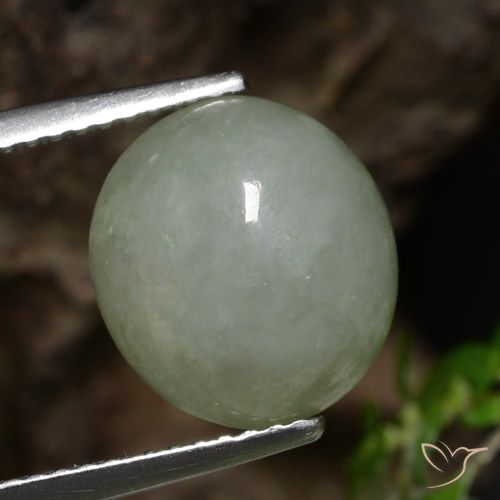 6.92ct Natural Verde medio Jadeíta, Ovalada, Translúcido