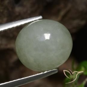 Jadeíta Verde medio natural de 6.92 ct, Ovalada, Translúcido