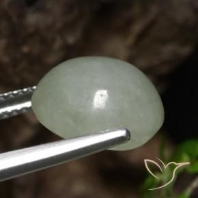 Jadeíta Verde medio natural de 6.92 ct, Ovalada, Translúcido