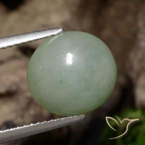 Jadeíta Verde gris natural de 5.39 ct, Ovalada, Translúcido