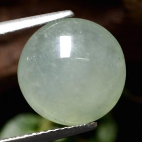 Jadeíta verde natural de 5,77 ct, corte redondo, translúcido