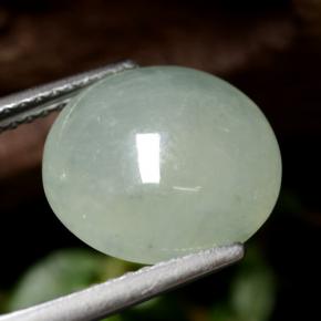 Jadeíta verde natural de 5,77 ct, corte redondo, translúcido