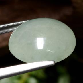 Jadeíta verde natural de 5,77 ct, corte redondo, translúcido