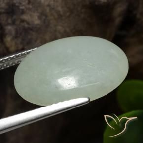 Jadeíta Verde grisáceo natural de 7.34 ct, Ovalada, Translúcido