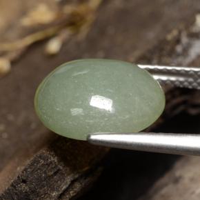 Jadeíta verde natural de 6,81 ct, corte óvalo, translúcido