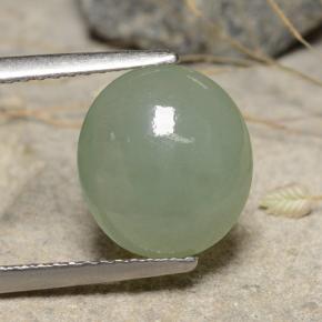 Jadeíta verde natural de 3,68 ct, corte óvalo, translúcido