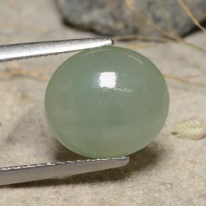 Jadeíta verde natural de 3,68 ct, corte óvalo, translúcido