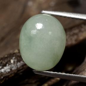 Jadeíta verde natural de 5,78 ct, corte óvalo, translúcido
