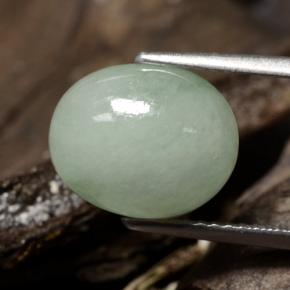 Jadeíta verde natural de 5,78 ct, corte óvalo, translúcido