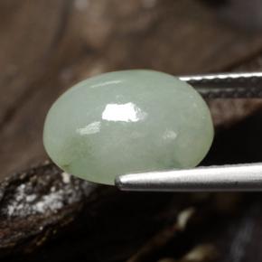 Jadeíta verde natural de 5,78 ct, corte óvalo, translúcido