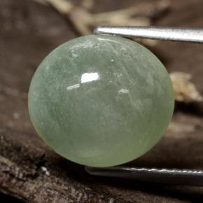 Jadeíta Verde medio natural de 6.47 ct, Corte Óvalo, Translúcido