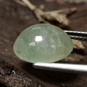 Jadeíta Verde medio natural de 6.47 ct, Corte Óvalo, Translúcido