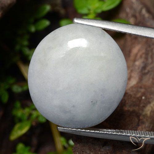 20.39ct Natural Verde claro Jadeíta, Ovalada, Translúcido