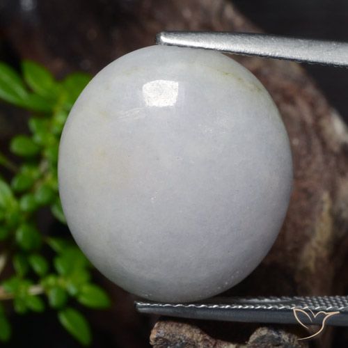 18.56ct Natural Verde medio Jadeíta, Ovalada, Translúcido