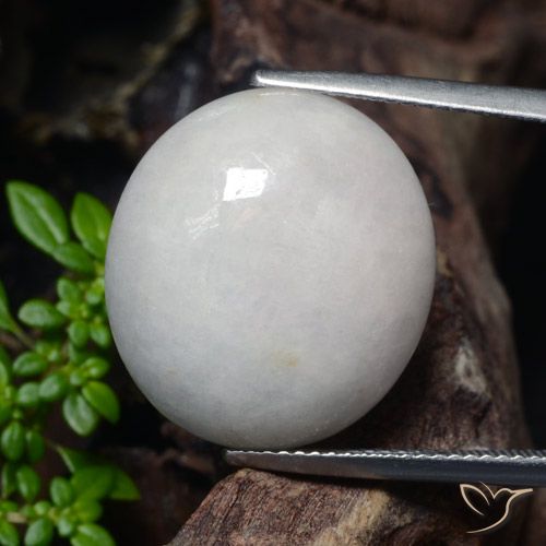 23.32ct Natural Gris muy claro Jadeíta, Ovalada, Translúcido