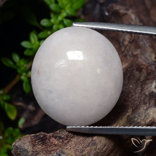 23.31ct Natural Gris Jadeíta, Ovalada, Translúcido