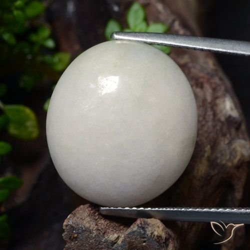 24.23ct Natural Gris muy claro Jadeíta, Ovalada, Translúcido
