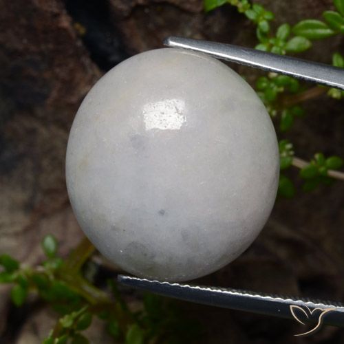 21.41ct Natural Blanco grisáceo Jadeíta, Ovalada, Translúcido