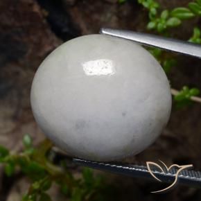 Jadeíta Blanco grisáceo natural de 21.41 ct, Ovalada, Translúcido