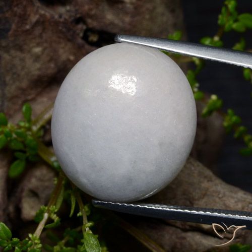 22.55ct Natural Blanco grisáceo Jadeíta, Ovalada, Translúcido