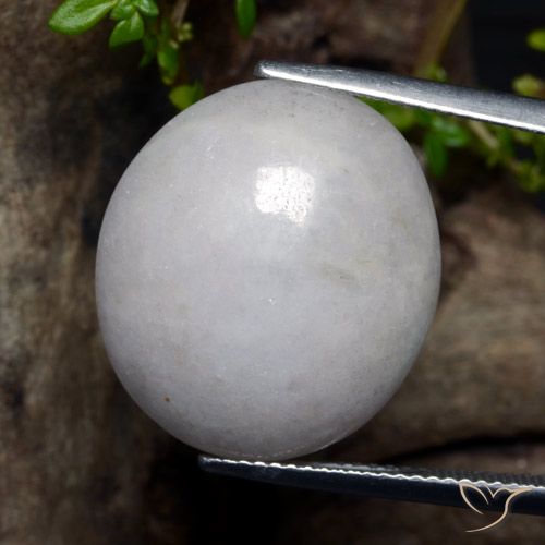 24.10ct Natural Blanco grisáceo Jadeíta, Ovalada, Translúcido