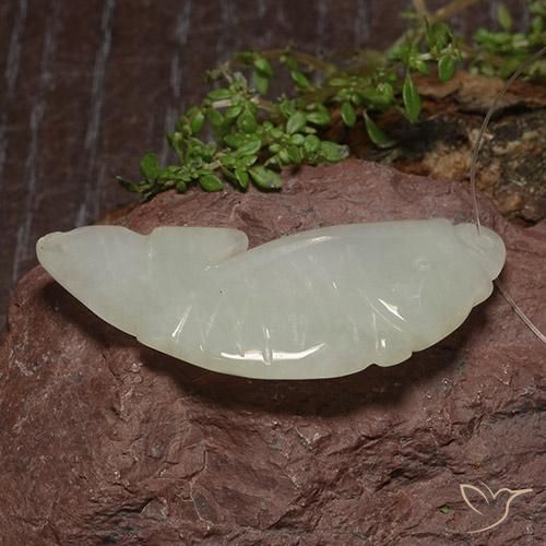 Jadeíta Blanco grisáceo natural de 26.72 ct, Elegante, Translúcido