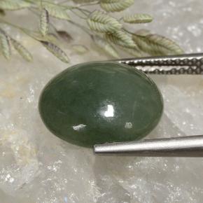 Jadeíta verde natural de 6,91 ct, corte redondo, translúcido