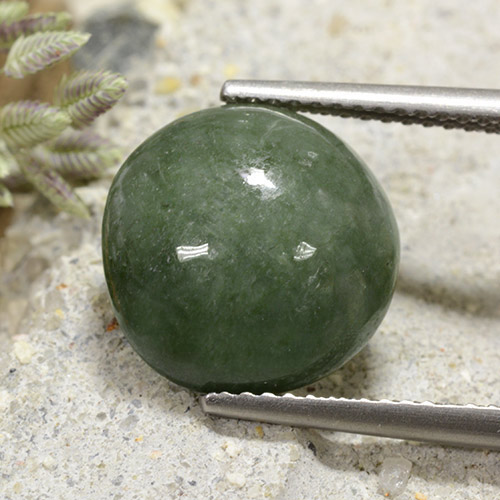 Jadeíta verde natural de 7,25 ct, corte redondo, opaco