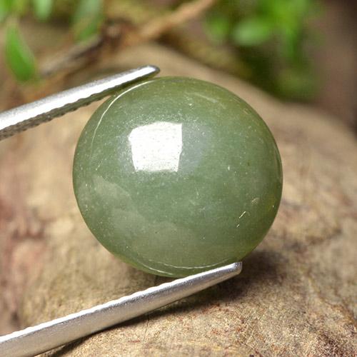 Jadeíta verde natural de 9,18 ct, corte redondo, translúcido