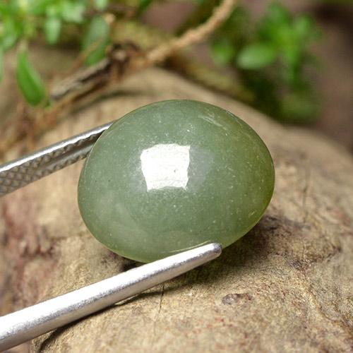 Jadeíta verde natural de 9,18 ct, corte redondo, translúcido