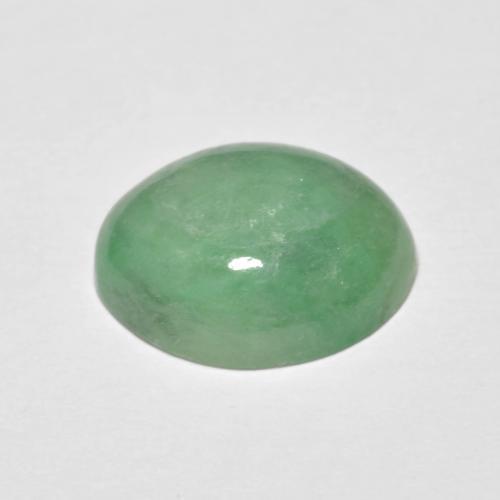 Jadeíta verde natural de 5,09 ct, corte óvalo, opaco