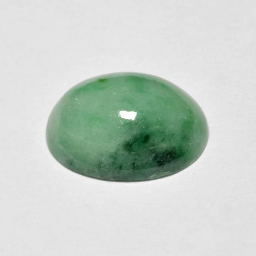 Jadeíta verde natural de 4,94 ct, corte óvalo, opaco