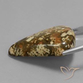 Jaspe Multicolor natural de 50.54 ct, Elegante, Opaco
