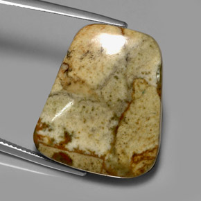 Jaspe multicolor natural de 33,84 ct, forma elegante, translúcido