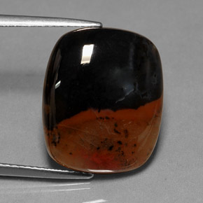 Jaspe multicolor natural de 9,86 ct, transparente, transparente / translúcido