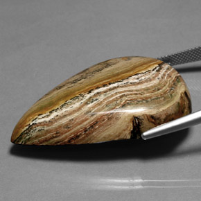 Jaspe multicolor natural de 66,36 ct, en forma de pera, opaco