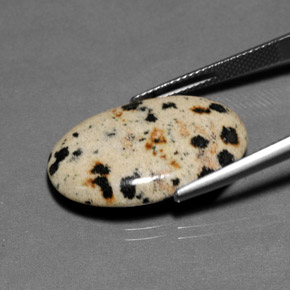 Jaspe Multicolor natural de 12.82 ct, Corte Óvalo, Opaco