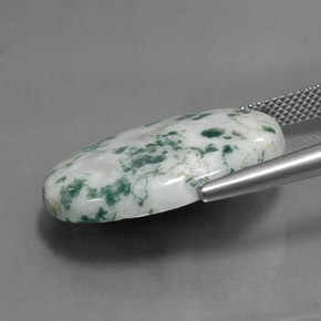 Jaspe multicolor natural de 17,60 ct, corte óvalo, opaco